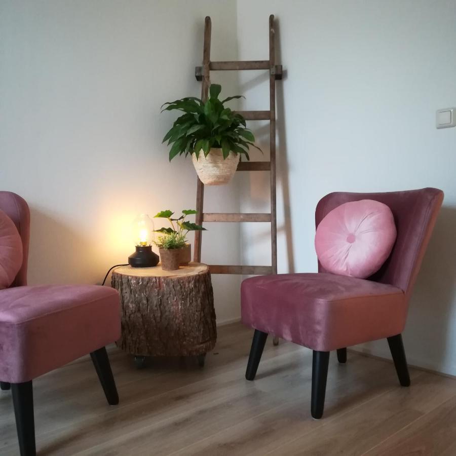 Vriescheloo B&B Het Klontje מראה חיצוני תמונה